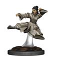 DD-ICONS-REALM-PREMIUM-PAINTED-FIG-HUMAN-MONK-FEMALE-(C-0-