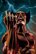 WOLVERINE-22-1100-DAN-PANOSIAN-VIRGIN-VARIANT
