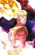 Fury of Firestorm #3 (of 8) Cvr C Dustin Nguyen Card Stock Var