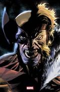 WOLVERINE-41-100-COPY-INCV-LEINIL-YU-VIRGIN-VAR