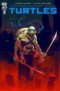 TEENAGE-MUTANT-NINJA-TURTLES-2024-3-100-COPY-RIVERA-INCV