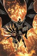 BATMAN-AND-ROBIN-14-CVR-C-YANICK-PAQUETTE-CARD-STOCK-VAR