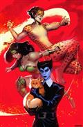 Cheetah And Cheshire Rob The Justice League #3 (of 6) Cvr C Noobovich Card Stock Var