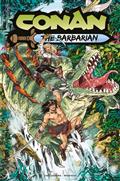 Conan The Barbarian #25 Cvr E Danica Brine Var (MR)