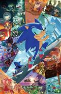 Sonic The Hedgehog #91 Variant Ri 1:25 (Hammerstrom Full Art)