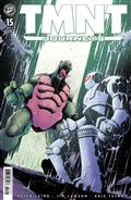 TMNT Journeys #15 Variant B (Henderson)