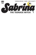 Sabrina The Teenage Witch #1 Cvr E Blank Sketch Var