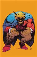 Demon #1 Cvr D Hayden Sherman Next Level Card Stock Var