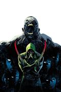 Absolute Green Arrow #6 (of 12) Cvr A Rafael Albuquerque