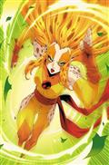 THUNDERCATS-CHEETARA-2-CVR-J-INC-115-GODTAIL-VIRGIN-VAR