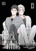 BLACK-OR-WHITE-TP-VOL-13-(MR)
