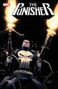 Punisher #1