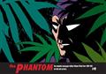 PHANTOM-THE-COMPLETE-NEWSPAPER-DAILIES-HC-VOL-34-1989-1991-Previously-Offered-Thru-Other-Distributors