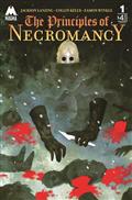 Principles of Necromancy #1 Cvr B Jana Heidersdorf Cardstock Var (MR)