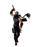 Ninja Gaiden Ryu Hayabusa 1/7 Scale Figure (Net) 