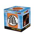 DRAGON-BALL-Z-KAME-SYMBOL-CANDLE-(Net)-