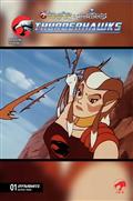 Thundercats X Silverhawks Thunderhawks #1 Cvr E Animation Art Var