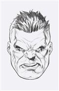 INCREDIBLE-HULK-10-50-COPY-INCV-HEADSHOT-SKETCH-VIR-VAR