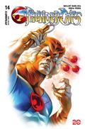 Thundercats #14 Cvr D Massafera 