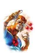 THUNDERCATS-14-CVR-R-20-COPY-INCV-MASSAFERA-VIRGIN-