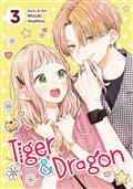 TIGER-DRAGON-GN-VOL-03-