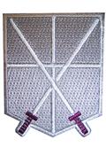 Attack On Titan Trainee Squad Patch (C: 1-1-2)