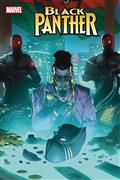 BLACK-PANTHER-4-LUCAS-WERNECK-STORMBEAKERS-VAR