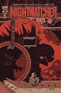 TEENAGE-MUTANT-NINJA-TURTLES-NIGHTWATCHER-2-CVR-B-LANKRY