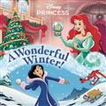 A-WONDERFUL-WINTER-(DISNEY-PRINCESS)-TP
