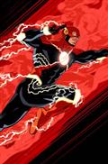 Flash #25 Cvr B Tom Reilly Card Stock Var