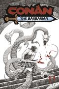 Conan The Barbarian #24 Cvr B Luke Eidenschink Var (MR)