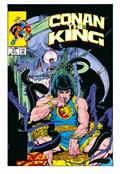 King Conan The Original Comics Omnibus HC Vol 02 Regular Edition Mike Kaluta (MR)