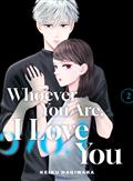 Whoever You Are I Love You GN Vol 02