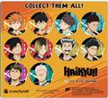 Haikyuu S2 Player Portrait 220Pc 1.25In Button Bmb Ds (C: 1-
