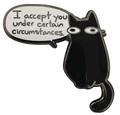 Sarahs Scribbles Accept You Cat Pin (C: 1-1-2)