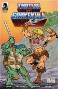Masters of Universe TMNT Turtles of Grayskull #1 Cvr B Sakai