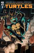 TEENAGE-MUTANT-NINJA-TURTLES-2024-2-50-COPY-ROBERTSON-INCV