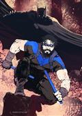 NIGHTWING-117-CVR-C-STEVAN-SUBIC-CARD-STOCK-VAR