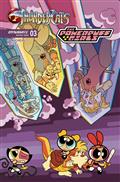 Thundercats Powerpuff Girls #3 Cvr B Engle 