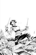 THUNDERCATS-LOST-6-CVR-J-15-COPY-INCV-SHALVEY-LINE-ART-VIRGIN
