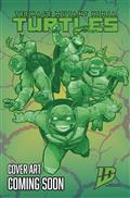 Teenage Mutant Ninja Turtles 2024 #12 Cvr D Meyers