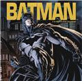 Batman 16 Month 2026 Wall Calendar 