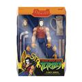 TMNT Ultimates Wv13 Casey Jones AF (Net) 