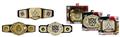WWE-CHAMPIONSHIP-TITLE-BELT-ASST-(Net)-