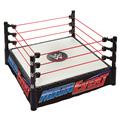 WWE-MAIN-EVENT-RING-(Net)-
