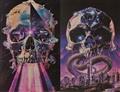 CHAMBERLAINS-3-CVR-D-TODD-SKULL-HOLOFOIL-FLIP-VAR-(MR)