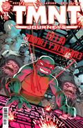 TMNT Journeys #13 Variant B (Wachter)
