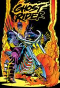GHOST-RIDER-DANNY-KETCH-OMNIBUS-HC-VOL-3-RON-GARNEY-COVER-[DM-ONLY]