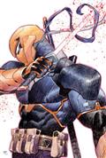Deathstroke The Terminator #6 Cvr C Dike Ruan Card Stock Var