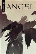 Angel #1 Cvr C Meredith Mcclaren Var